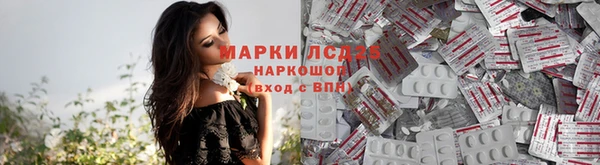 ECSTASY Покровск