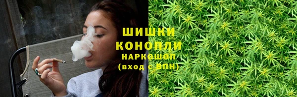 сатива Абаза
