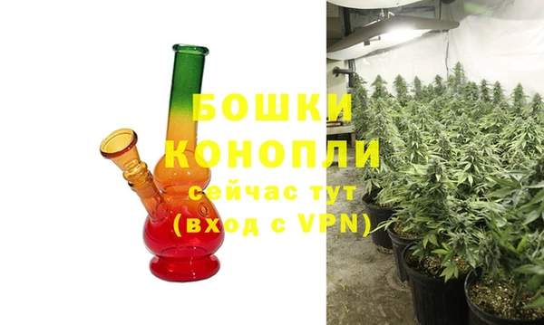 сатива Абаза